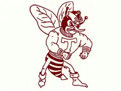 Tulia Hornets